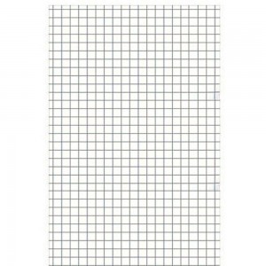 PAPEL ALMACO QUADRICULADO