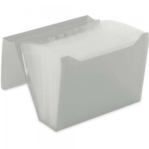 PASTA SANFONADA DUPLICATA POLIBRAS 12DIV...