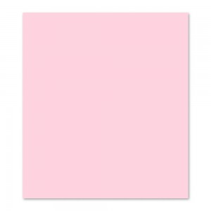 PLACA EM EVA 2MM 40X60CM LISO ROSA ALGOD...