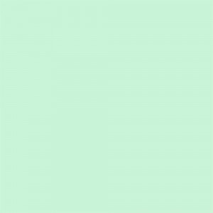 PLACA EM EVA 2MM 40X60CM LISO VERDE HORT...