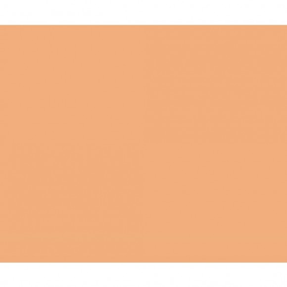 PLACA EM EVA 2MM 40X60CM LISO SALMAO MAKE+