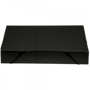 PASTA POLIONDA OFICIO 35MM GOLDEN KRAFT ...