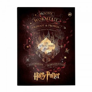 PASTA CATALOGO DAC OFICIO COM 10 ENVELOP...