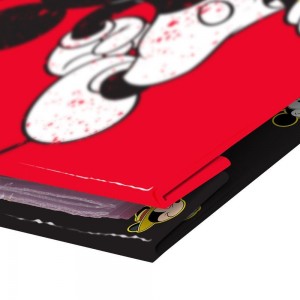 PASTA CATALOGO DAC OFICIO COM 10 ENVELOP...