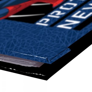 PASTA CATALOGO DAC OFICIO COM 10 ENVELOP...