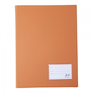 PASTA CATALOGO ACP OFICIO COM 20 ENVELOP...