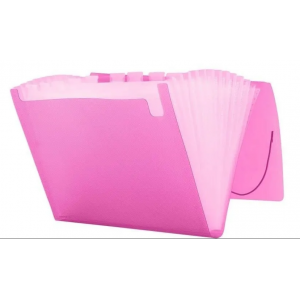 PASTA SANFONADA A4 ACP 12 DIVISOES POA P...