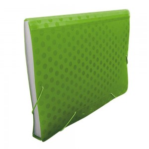 PASTA SANFONADA A4 ACP 12 DIVISOES  POA ...