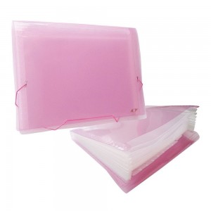 PASTA SANFONADA A4 ACP 12 DIVISOES POA R...